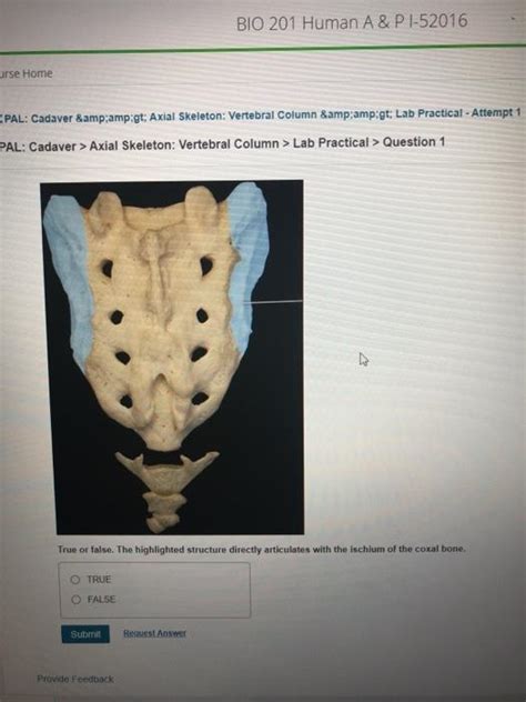 Solved Part A Identify The Highlighted Bone Submit Request Chegg