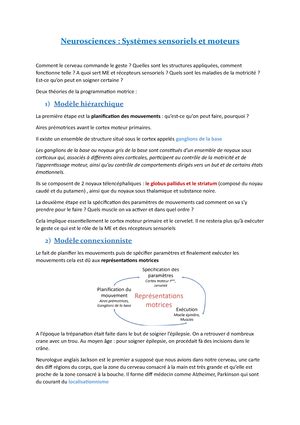 CM2 Notes De Cours 2 CM 2 Neuroanatomie Fonctionnelle III Les