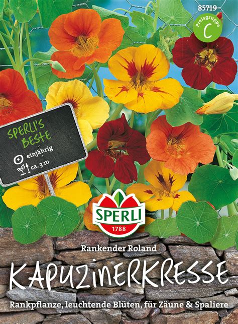 Kapuzinerkresse Rankender Roland Sperlis Samen für leuchtende Blüten