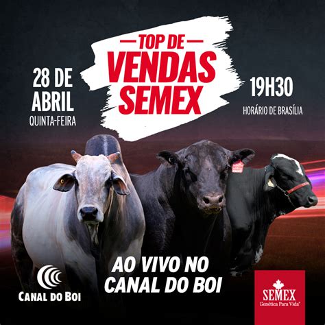 Semex Brasil promove ação para garantir acesso a sêmen bovino de alto