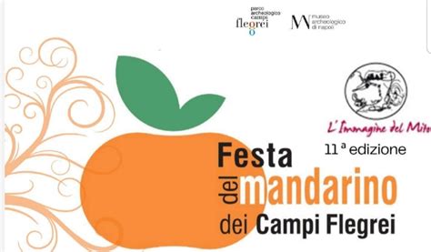 Bacoli Al Via La Festa Del Mandarino Dei Campi Flegrei L Evento Al