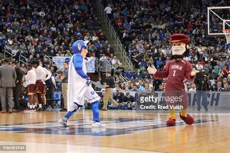 41 Iona Mascot Stock Photos, High-Res Pictures, and Images - Getty Images