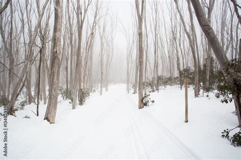 Lake Mountain Trail Stock Photo | Adobe Stock