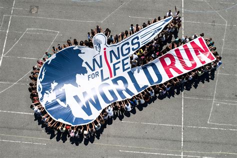 Wings For Life World Run News Clip