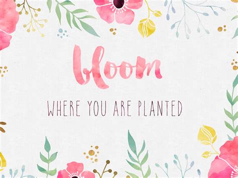 Free Desktop Wallpaper - Bloom Where you are Planted | Bloom where you ...