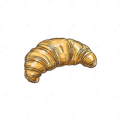 French Roll Isolated Croissant Sketch Stock Vector Illustration Of