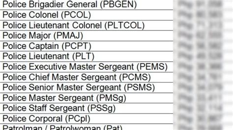 Pay And Allowances Of PNP Personnel For 2024 Life Of Maharlika