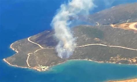 İzmir Urla da ormanlık alanda yangın çıktı Çok sayıda ekip bölgede