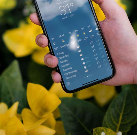 Weather In Gatlinburg Tennessee: A Monthly Weather Guide