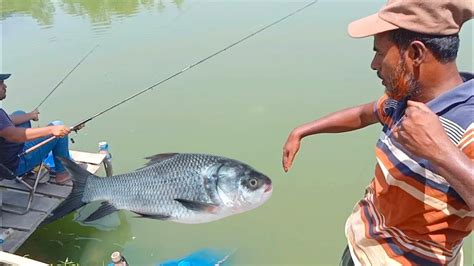 ছপ ছড হত দয কতল মছ তল সবইক অবক কর দলন শকর