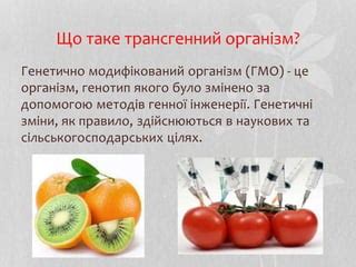 Трансгенні модифіковані організми | PPT