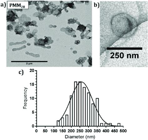 A Negatively Stained Tem Images Of Pmm Polymersomes B Cryo Tem