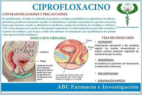 Ciprofloxacino Y Sus Contraindicaciones Medicine Nurse How To Stay Healthy