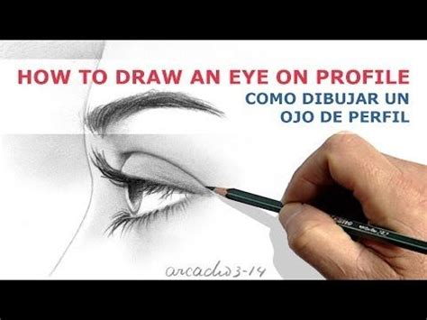 Nuevo CURSO de dibujo a lápiz Cap 7 El ojo de perfil y vistas