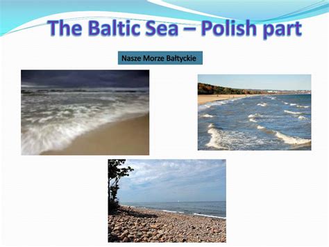 PPT Pollution Of The Baltic Sea PowerPoint Presentation Free