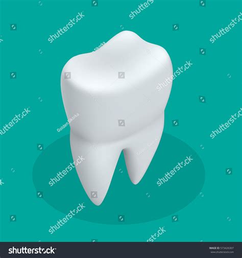 Isometric Teeth Icon Dentist Flat Vector Sign Or Royalty Free Stock