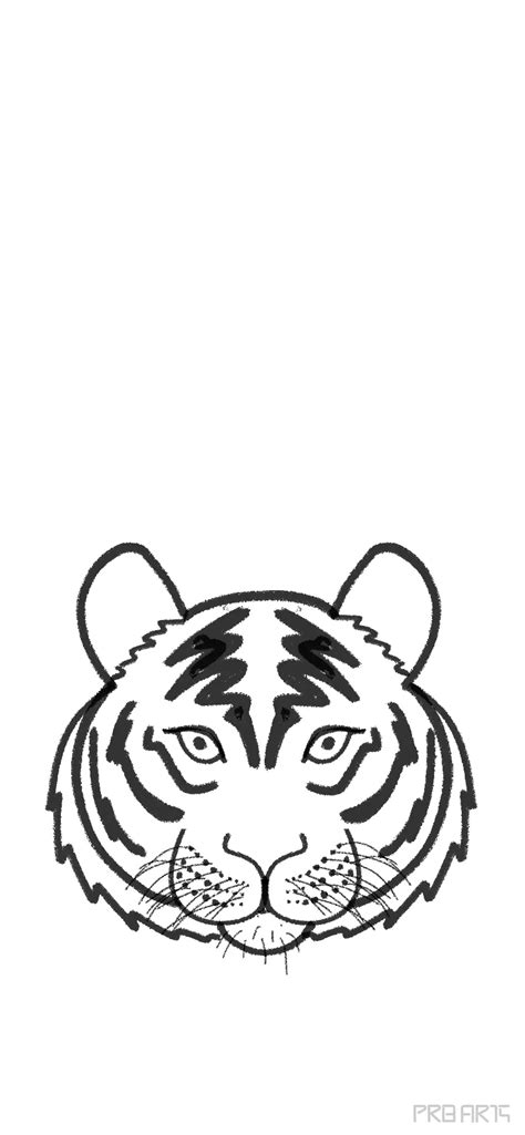 Tiger Face Drawing How To Draw A Tiger Face Step By Step Atelier Yuwa