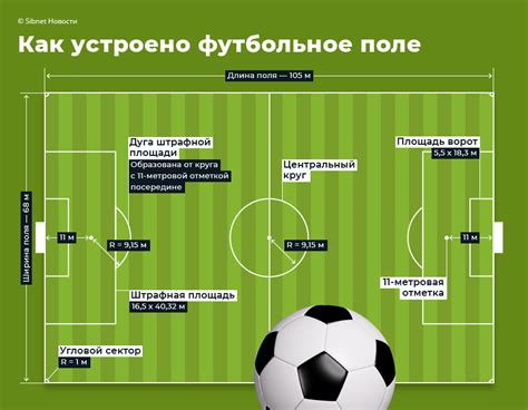 Размеры и разметка: как устроено футбольное поле - Спорт - info.sibnet.ru