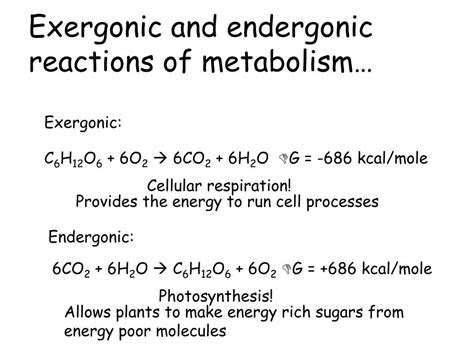 Ppt Cellular Respiration Harvesting Energy From Glucose Powerpoint