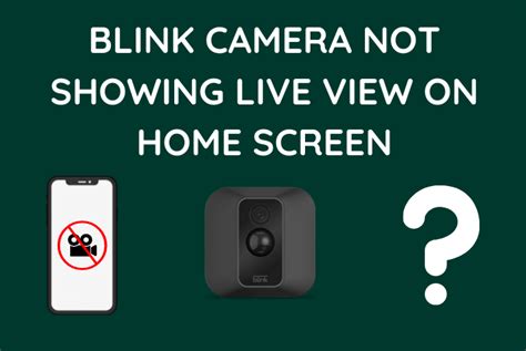 Blink Camera Not Showing Live View On Home Screen Try This Blinqblinq