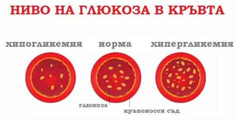 Кръвна захар: стойности, таблици, хипергликемия. Лечение с лекарства и ...