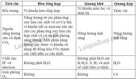 Giải Sinh học 10 trang 93 Kết nối tri thức