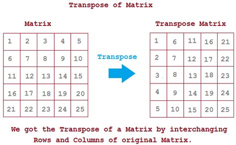 Transpose A Matrix In Matlab Ptulink