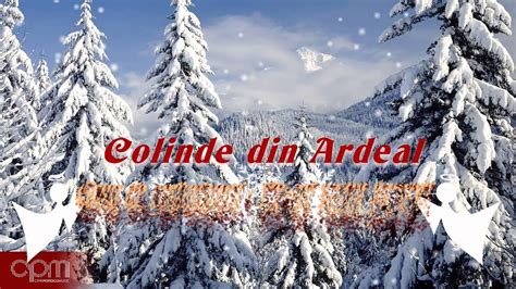 Colinde Din Ardeal 2019 - 6