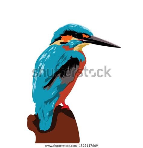 Kingfisher Bird Vector Illustration Design Wallpaper Stock Vector