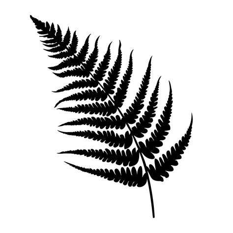 Fern leaf silhouette. Vector illustration 32501959 Vector Art at Vecteezy