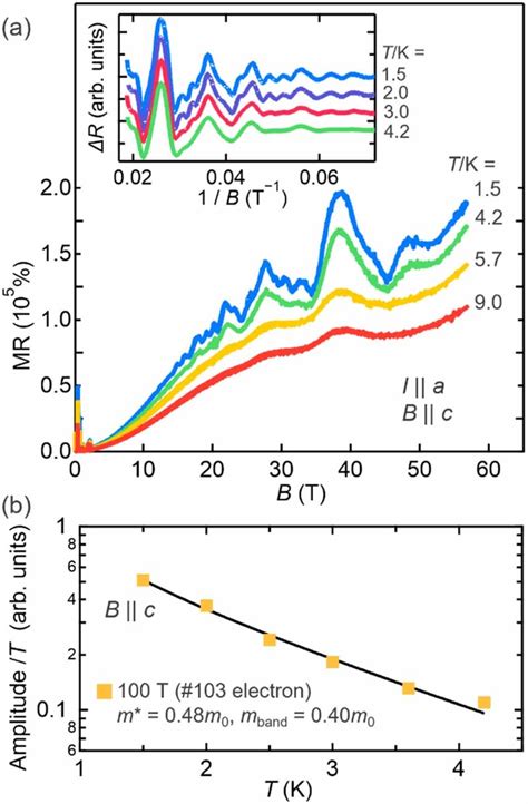 Magnetic Field Dependence Of Transverse Magnetoresistance Mr Measured Download Scientific