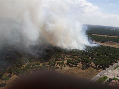 La Junta Declara El Nivel 2 De Peligrosidad En Un Incendio Forestal En