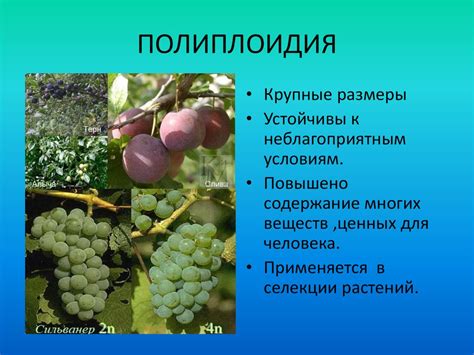 Генетические основы селекции - online presentation