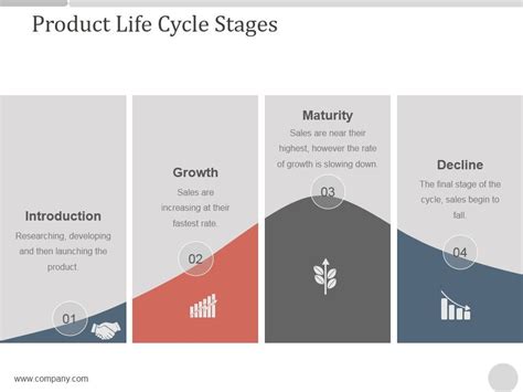 Product Life Cycle Stages Ppt Powerpoint Presentation Diagrams