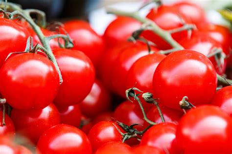 Can Dogs Have Bell Peppers? What Experts Say About the Veggie