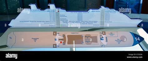 Diagrammatic Plan And Elevation Views Of Cruise Ship Deck Layout And