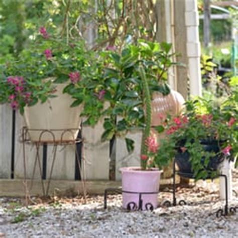 Florida Native Plants Nursery & Landscaping - 11 Photos - Nurseries ...