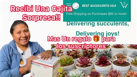 Recib Una Cajita Sorpresa De Lele S Succulent Usa M S Un Regalo Para