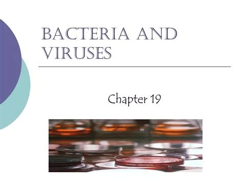 Ppt Bacteria And Viruses Powerpoint Presentation Free Download Id5920976