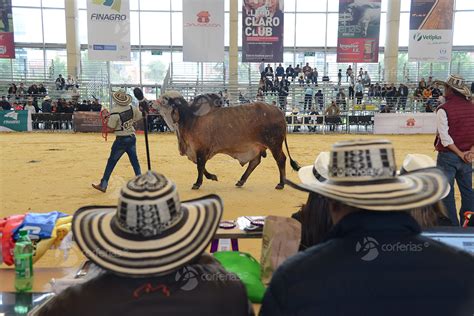 Conozca Los Detalles Imperdibles De La Versi N Xxiv De Agroexpo En