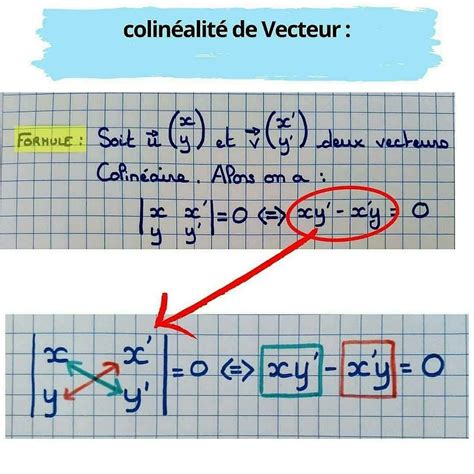 D Couvrir Imagen Vecteurs Colin Aires Formule Fr Thptnganamst Edu Vn