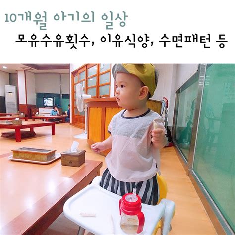 10개월 아기의 일상 모유수유횟수 이유식양 수면패턴 등 네이버 블로그