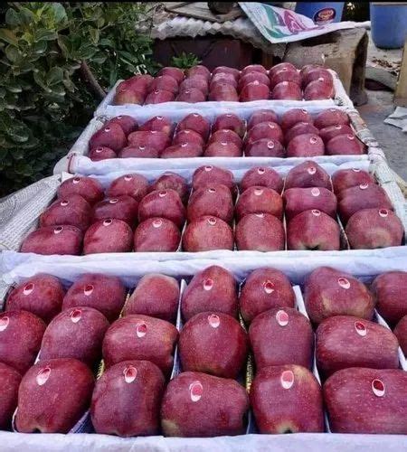 Himachali A Grade Fresh Red Delicious Apple Packaging Size 18 Kg Box