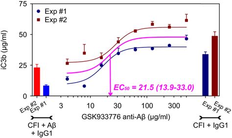 Anti Amyloid A Antibody Gsk Effectively Blocks A S