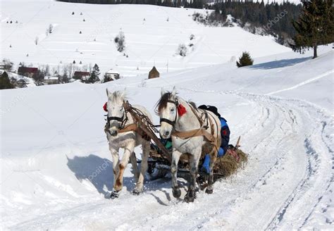 Winter village horse carriage — Stock Photo © Pchela80 #71000147