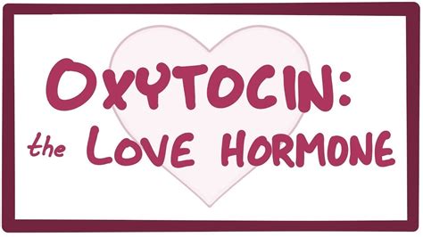 Oxytocin Hormone Love