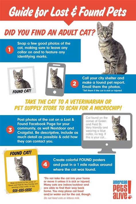 Kits Infographics And Tools To Get More Lost Pets Back Home To