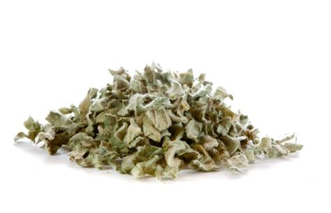 Organic Dried Mullein Leaf 50g Rosemary Acre Organics