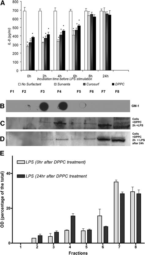 Surfactant Lipids Regulate LPS Induced Interleukin 8 Production In A549