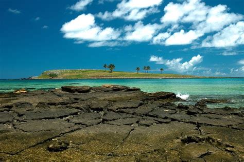 Parque Nacional Marinho Dos Abrolhos Conhe A Sobrepesca